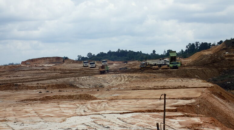 First Resources verwoest het bos van neusapen in de buurt van Balikpapan