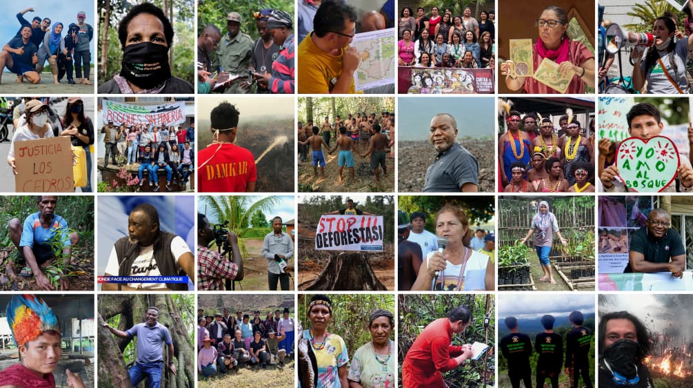 Een collage van enkele partners van Red het Regenwoud